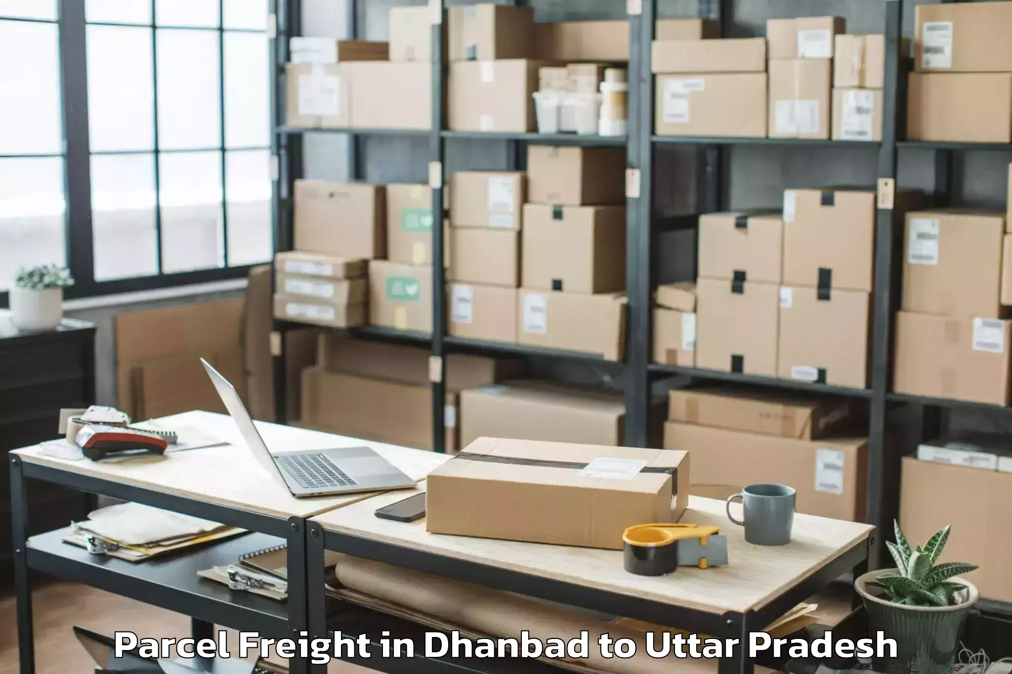 Book Dhanbad to Gaur City Mall Greater Noida Parcel Freight Online